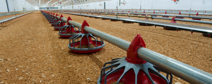 Feed System 453