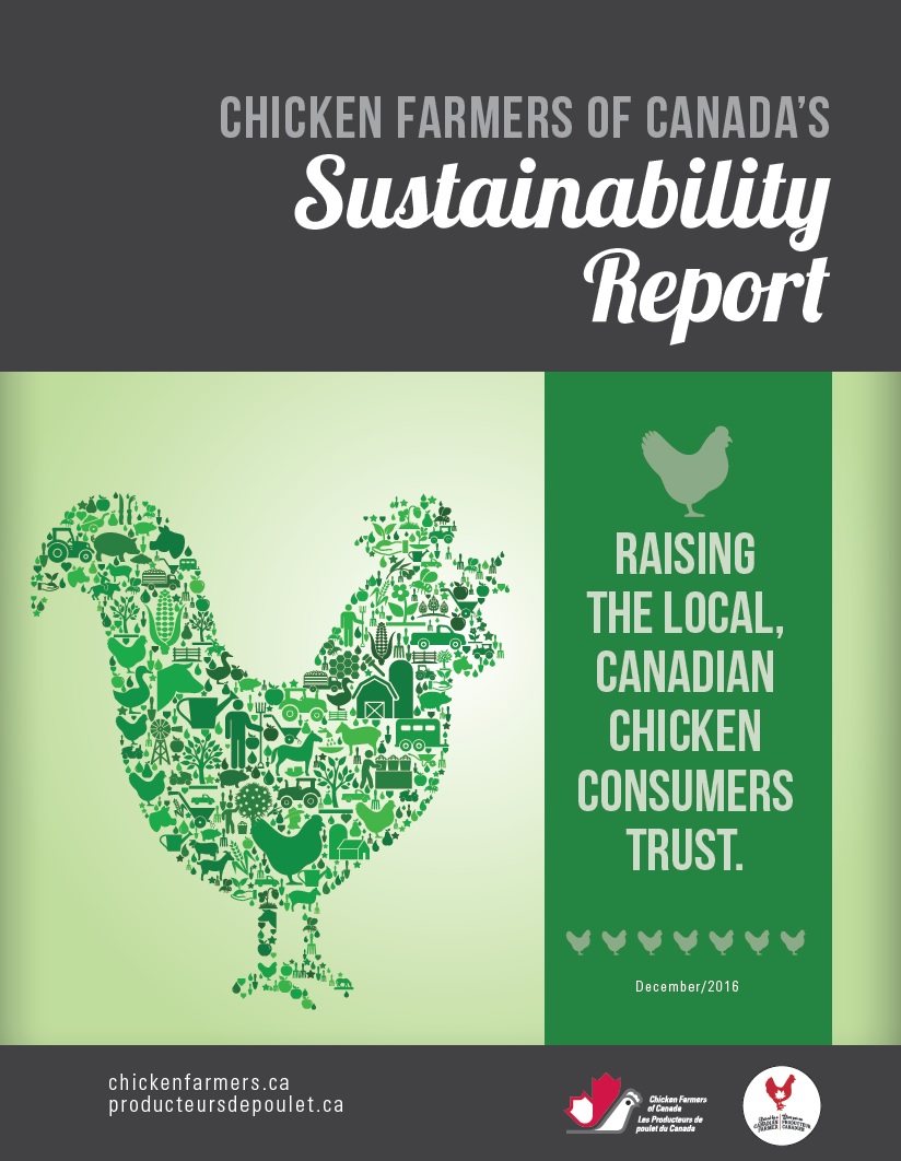 report-cover